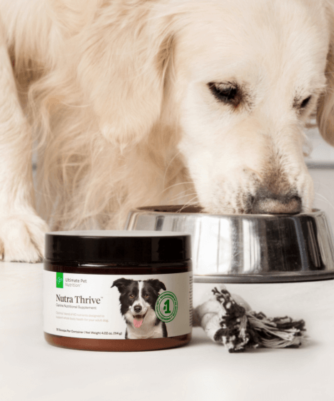 Nutra thrive clearance powder for dogs